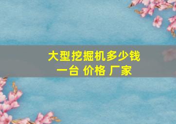 大型挖掘机多少钱一台 价格 厂家